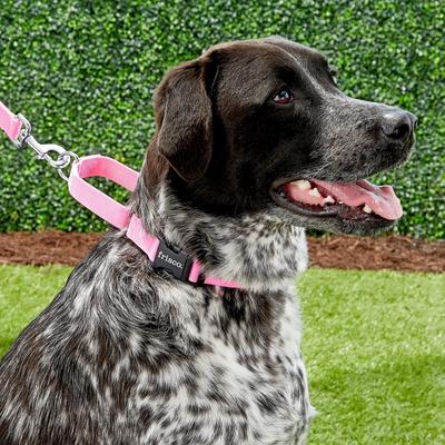 Show full view: Frisco Solid Nylon Martingale Dog Collar with Buckle, Pink, Large: 20 to 25-in neck, 1-in wide slide 3 of 9