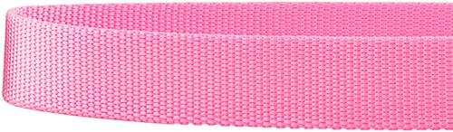 Show full view: Frisco Solid Nylon Martingale Dog Collar with Buckle, Pink, Large: 20 to 25-in neck, 1-in wide slide 6 of 9