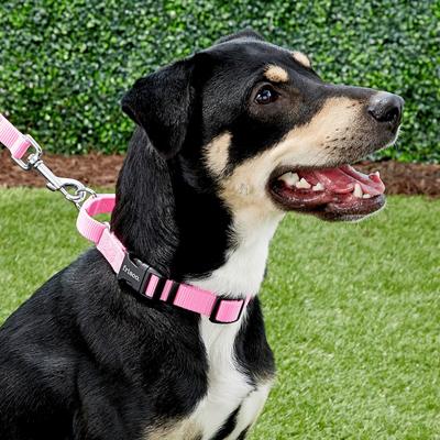 Show full view: Frisco Solid Nylon Martingale Dog Collar with Buckle, Pink, S: 14 to 17-in neck, 3/4-in W slide 3 of 9