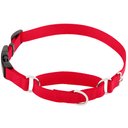 Frisco Solid Nylon Martingale Dog Collar with Buckle, Red, Large: 20 to 25-in neck, 1-in wide