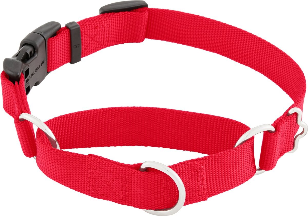Frisco Solid Nylon Martingale Dog Collar with Buckle