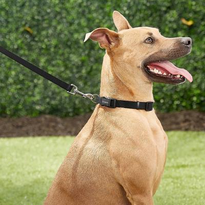 Show full view: Frisco Solid Nylon Personalized Dog Leash, Black, Medium: 4-ft long, 3/4-in wide slide 6 of 8