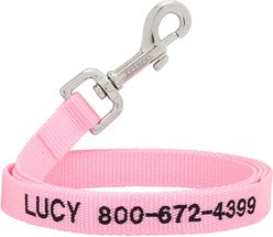 Frisco Solid Nylon Personalized Dog Leash, Pink, Large: 6-ft long, 1-in wide