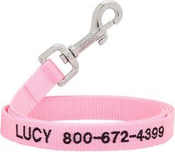 Frisco Solid Nylon Personalized Dog Leash, Pink, Small: 6-ft long, 5/8-in wide