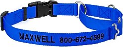Frisco Solid Nylon Personalized Martingale Dog Collar, Blue, Large: 20 to 25-in neck, 1-in wide