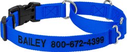 Frisco Solid Nylon Personalized Martingale Dog Collar, Blue, Medium: 17 to 20-in neck, 1-in wide