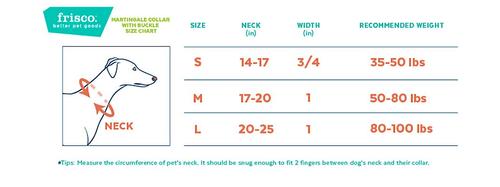 Show full view: Frisco Solid Nylon Personalized Martingale Dog Collar, Blue, Medium: 17 to 20-in neck, 1-in wide slide 2 of 8