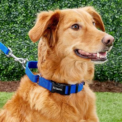 Show full view: Frisco Solid Nylon Personalized Martingale Dog Collar, Blue, Medium: 17 to 20-in neck, 1-in wide slide 7 of 8
