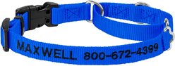 Frisco Solid Nylon Personalized Martingale Dog Collar, Blue, S: 14 to 17-in neck, 3/4-in W
