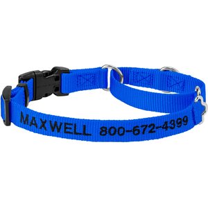 Frisco Solid Nylon Personalized Martingale Dog Collar