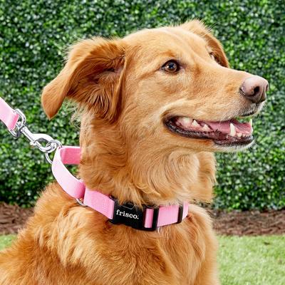 Show full view: Frisco Solid Nylon Personalized Martingale Dog Collar, Pink, Medium: 17 to 20-in neck, 1-in wide slide 7 of 8