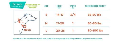 Show full view: Frisco Solid Nylon Personalized Martingale Dog Collar, Pink, S: 14 to 17-in neck, 3/4-in W slide 2 of 8