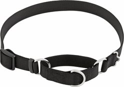 Frisco Solid Nylon Slip-On Martingale Dog Collar, Black, Large: 17 to 25-in neck, 1-in wide