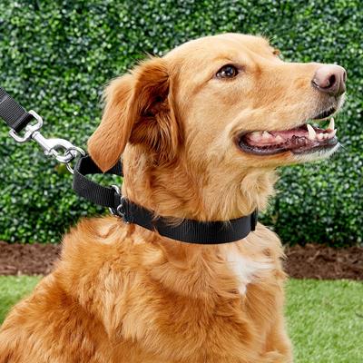 Show full view: Frisco Solid Nylon Slip-On Martingale Dog Collar, Black, Medium: 14 to 20-in neck, 1-in wide slide 3 of 7