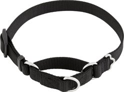 Frisco Solid Nylon Slip-On Martingale Dog Collar, Black, S: 13 to 18-in neck, 3/4-in W
