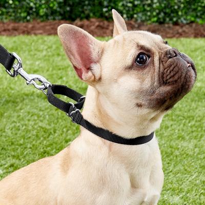 Show full view: Frisco Solid Nylon Slip-On Martingale Dog Collar, Black, XS: 10 to 14-in neck, 5/8-in W slide 3 of 7