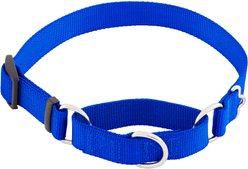 Frisco Solid Nylon Slip-On Martingale Dog Collar, Blue, Medium: 14 to 20-in neck, 1-in wide