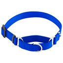 Frisco Solid Nylon Slip-On Martingale Dog Collar, Blue, Medium: 14 to 20-in neck, 1-in wide