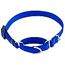 Frisco Solid Nylon Slip-On Martingale Dog Collar, Blue, S: 13 to 18-in neck, 3/4-in W