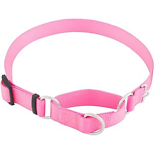 Frisco Solid Nylon Slip-On Martingale Dog Collar, Pink, Large: 17 to 25-in neck, 1-in wide