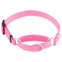 Frisco Solid Nylon Slip-On Martingale Dog Collar, Pink, Medium: 14 to 20-in neck, 1-in wide