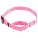 Frisco Solid Nylon Slip-On Martingale Dog Collar, Pink, S: 13 to 18-in neck, 3/4-in W