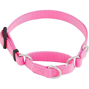Frisco Solid Nylon Slip-On Martingale Dog Collar, Pink, XS: 10 to 14-in neck, 5/8-in W