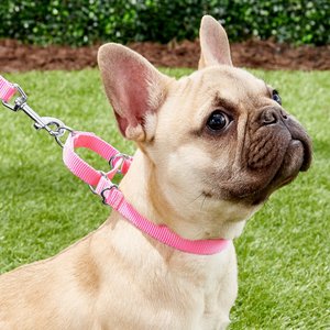 Frisco Solid Nylon Slip-On Martingale Dog Collar, Pink, XS: 10 to 14-in neck, 5/8-in W