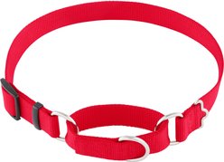 Frisco Solid Nylon Slip-On Martingale Dog Collar, Red, Large: 17 to 25-in neck, 1-in wide