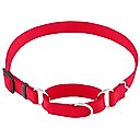 Frisco Solid Nylon Slip-On Martingale Dog Collar, Red, Large: 17 to 25-in neck, 1-in wide
