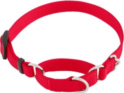 Frisco Solid Nylon Slip-On Martingale Dog Collar, Red, S: 13 to 18-in neck, 3/4-in W slide 1 of 5