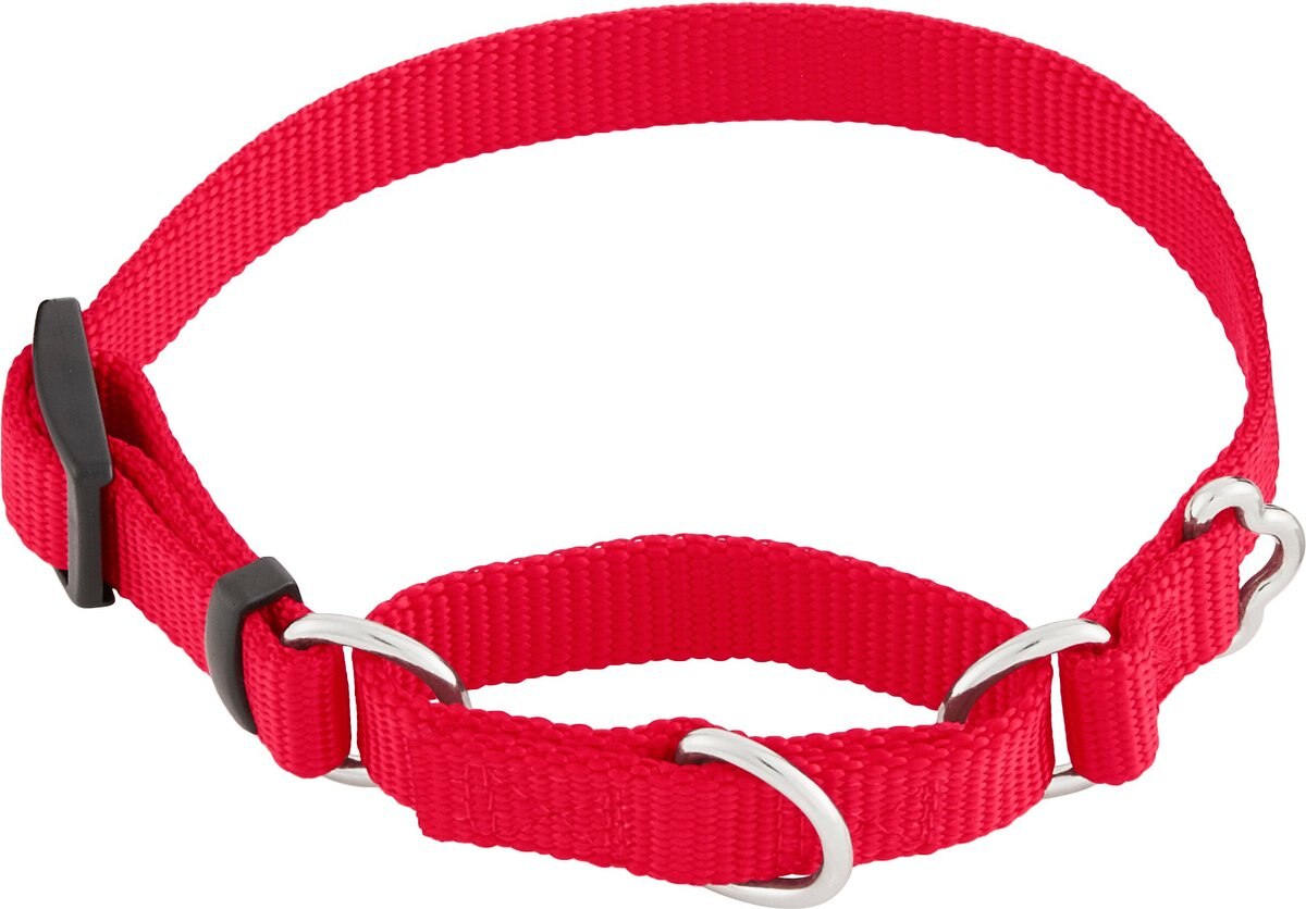 Frisco Solid Nylon Slip-On Martingale Dog Collar