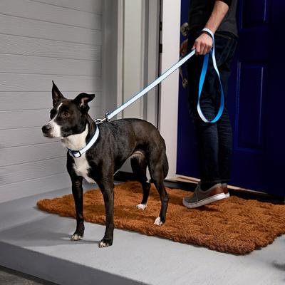 Show full view: Frisco Solid Polyester Personalized Reflective Dog Leash, Blue, Large: 6-ft long, 1-in wide slide 5 of 6