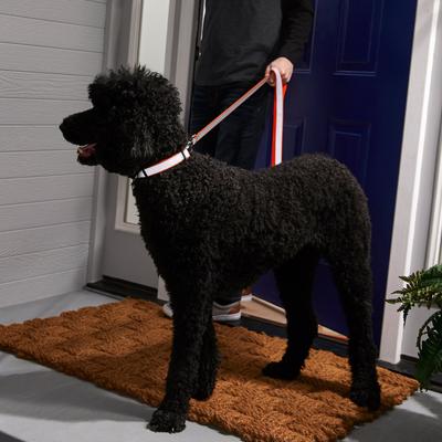 Show full view: Frisco Solid Polyester Personalized Reflective Dog Leash, Orange, Large: 6-ft long, 1-in wide slide 5 of 6