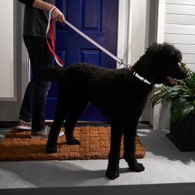 Show full view: Frisco Solid Polyester Personalized Reflective Dog Leash, Red, Large: 6-ft long, 1-in wide slide 5 of 6