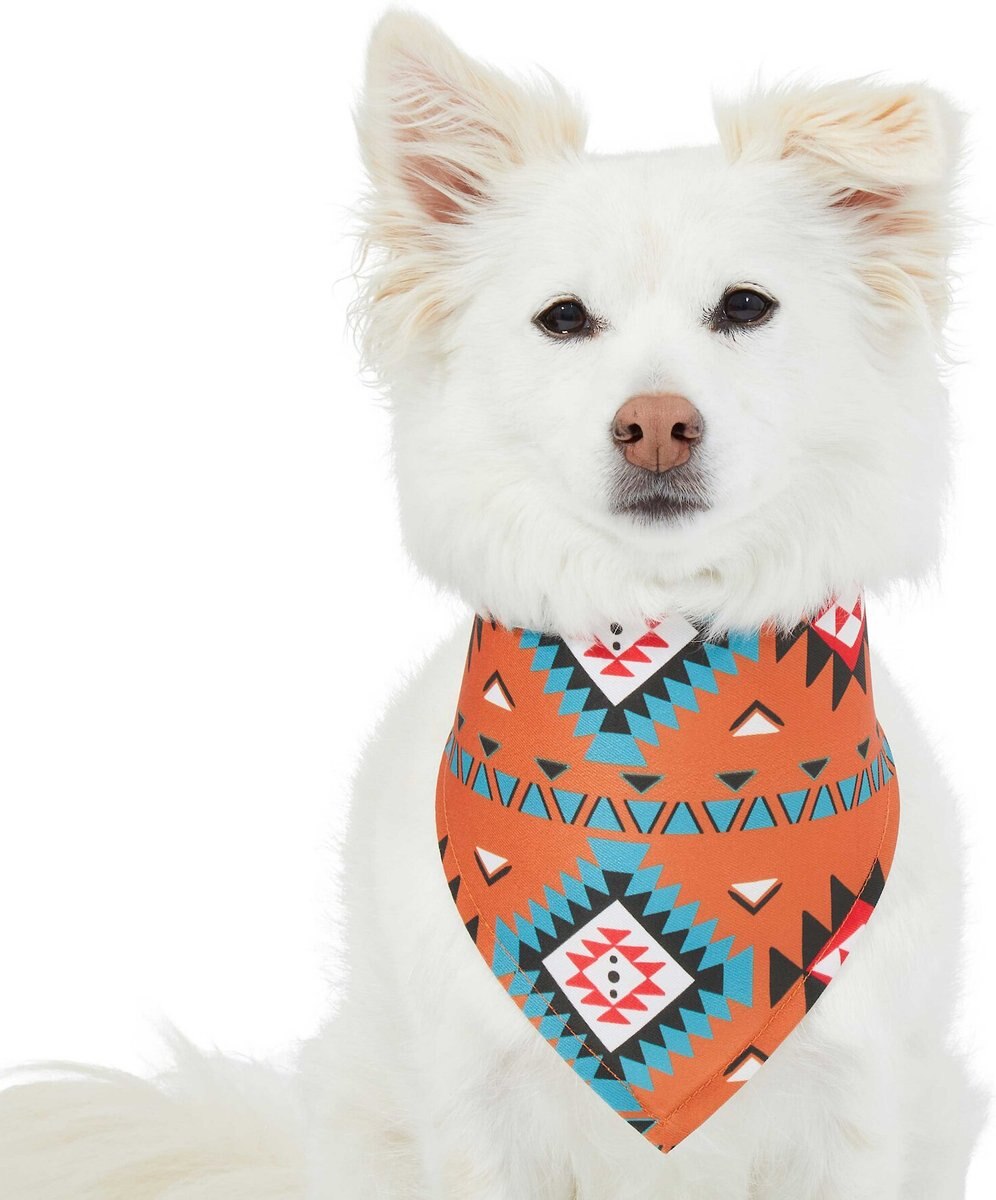 Frisco Southwest Dog & Cat Bandana