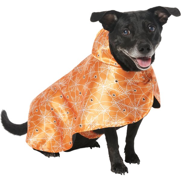 Frisco Tarantula Spider Dog & Cat Costume
