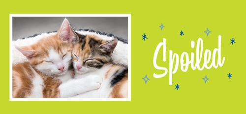 Show full view: Frisco Spoiled White Personalized Coffee Mug, 15-oz slide 3 of 5