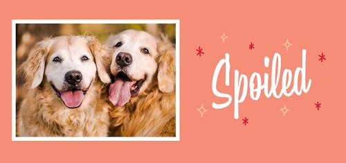 Show full view: Frisco "Spoiled" White Personalized Coffee Mug slide 2 of 6