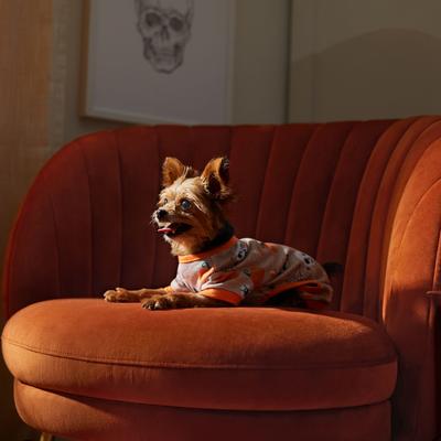 Show full view: Frisco Spooky Printed Dog & Cat Jersey PJs, Large slide 5 of 8