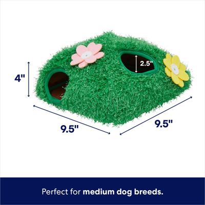 Show full view: Frisco Spring Bunny Burrow Hide & Seek Puzzle Plush Squeaky Dog Toy, Medium slide 2 of 8