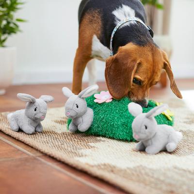 Show full view: Frisco Spring Bunny Burrow Hide & Seek Puzzle Plush Squeaky Dog Toy, Medium slide 6 of 8