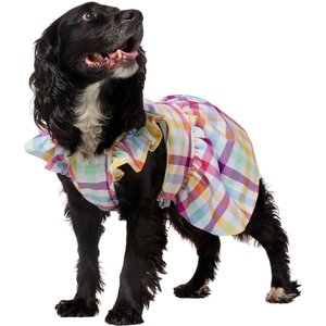 Frisco Ruffle Sleeve Dog & Cat Dress, Gingham, Large