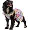 Show in main carousel: Frisco Ruffle Dog & Cat Dress, Gingham, Large slide 1 of 10