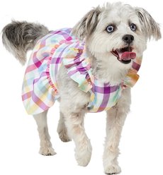 Frisco Ruffle Sleeve Dog & Cat Dress, Gingham, Medium