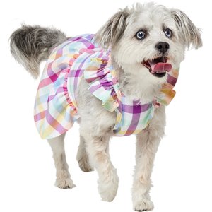 Frisco Ruffle Dog & Cat Dress, Gingham, Medium