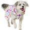 Show in main carousel: Frisco Ruffle Dog & Cat Dress, Gingham, Medium slide 1 of 9