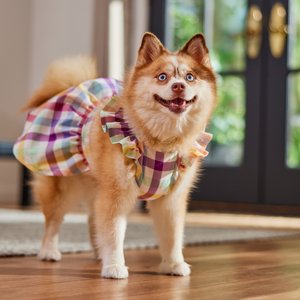 Frisco Ruffle Sleeve Dog & Cat Dress, Gingham, Medium