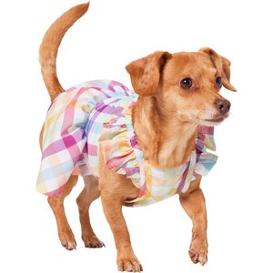 Frisco Ruffle Dog & Cat Dress, Gingham, Small