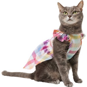 Frisco Spring Ruffle Dog & Cat Dress, Gingham, X-Small
